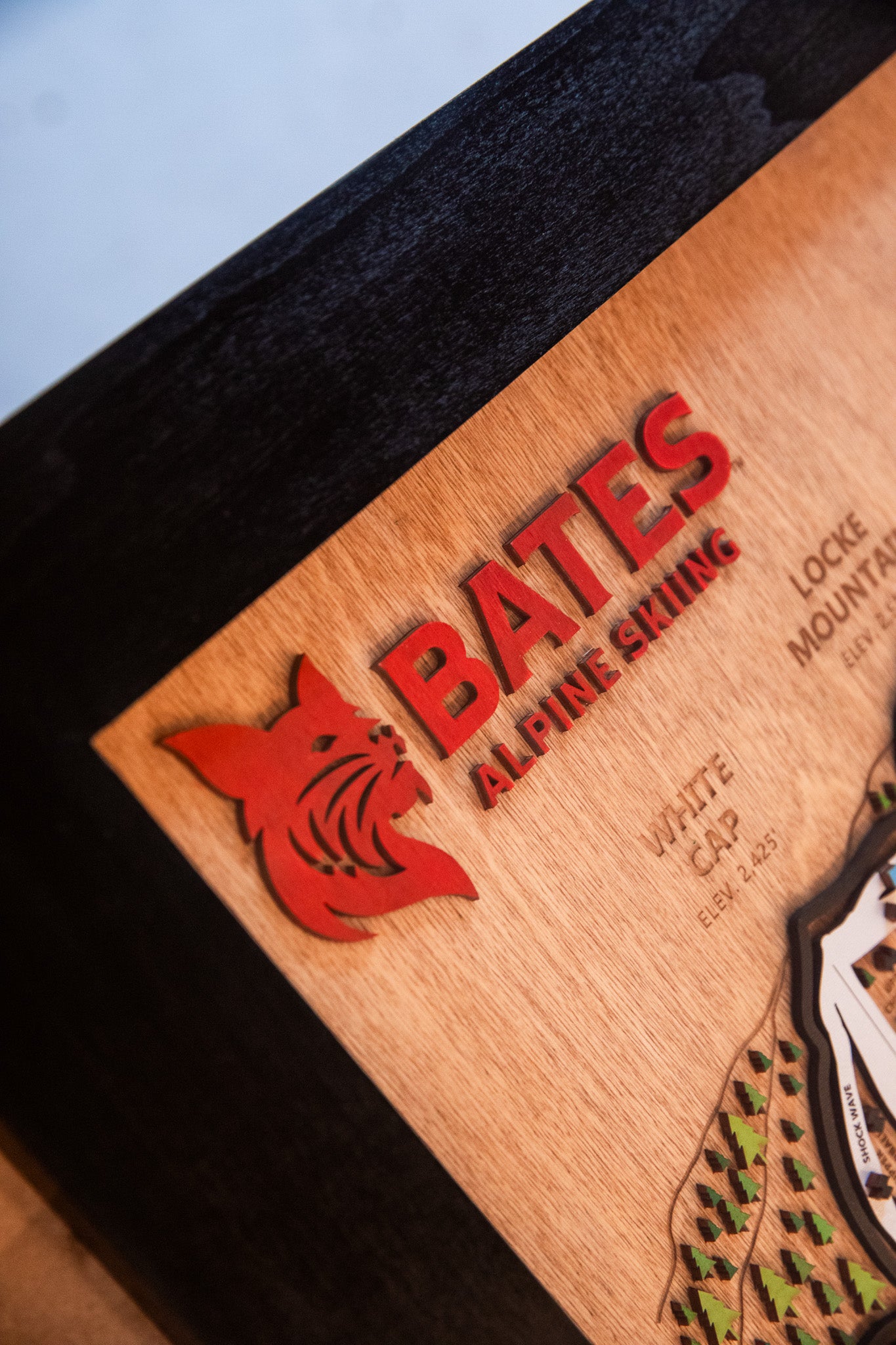 
                  
                    Custom Engraving or Addition to Wooden Ski Map
                  
                