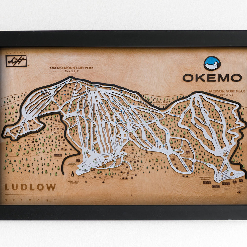 
                  
                    Okemo Wooden Ski Map Mountain Art Gift
                  
                