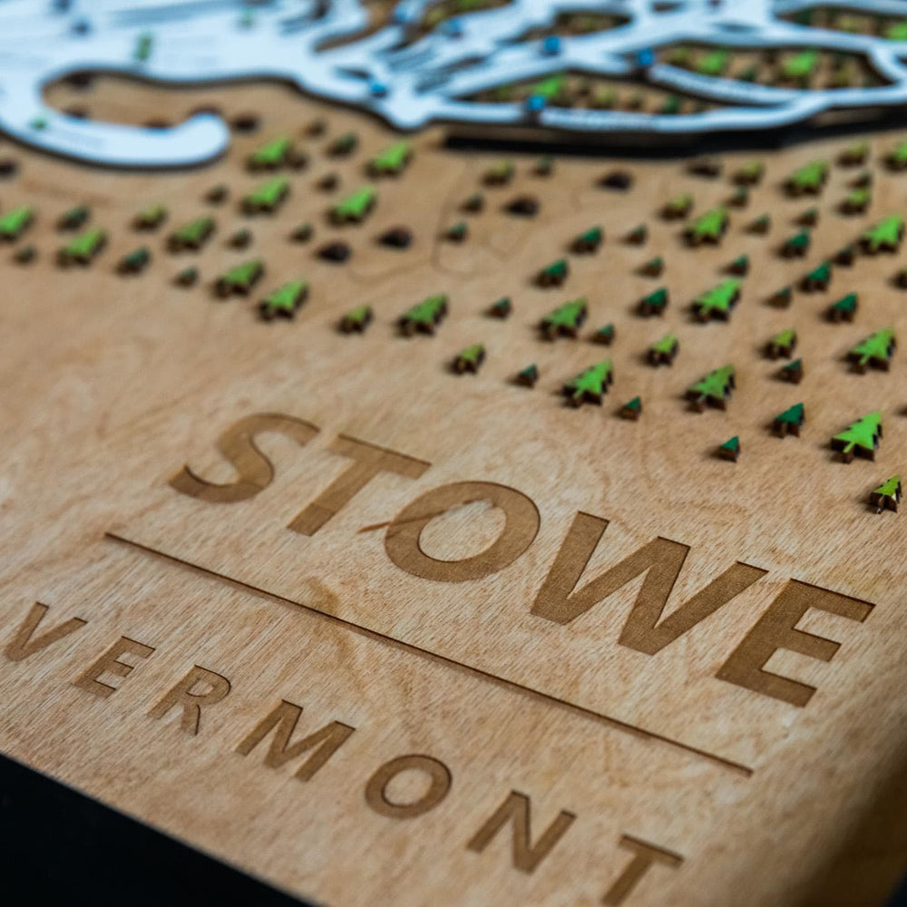 
                  
                    Stowe wooden ski map
                  
                