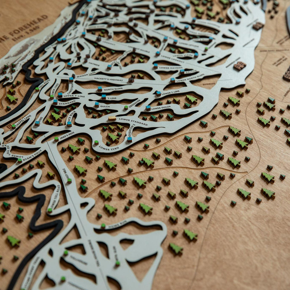 
                  
                    Stowe wooden ski map
                  
                