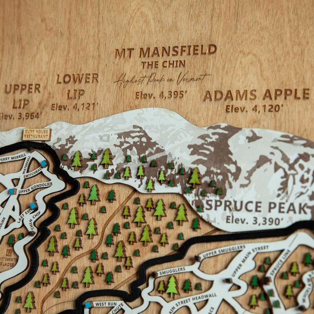 
                  
                    Stowe wooden ski map
                  
                