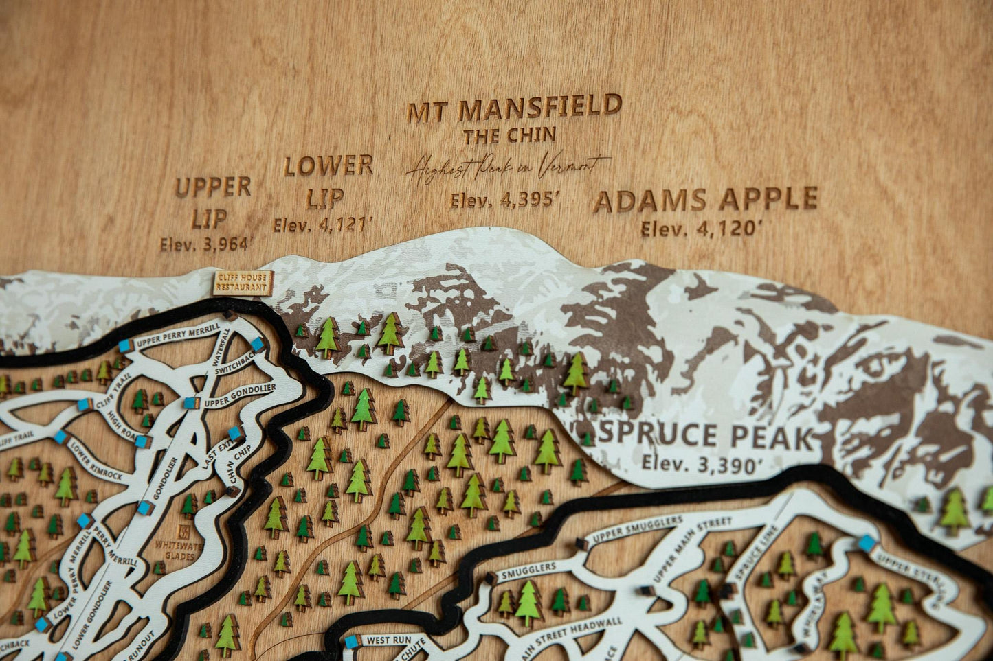 
                  
                    Stowe wooden ski map
                  
                