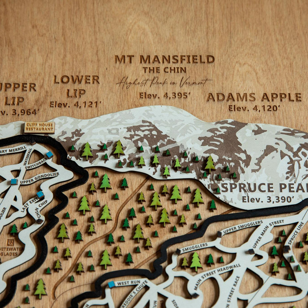 
                  
                    Stowe wooden ski map
                  
                