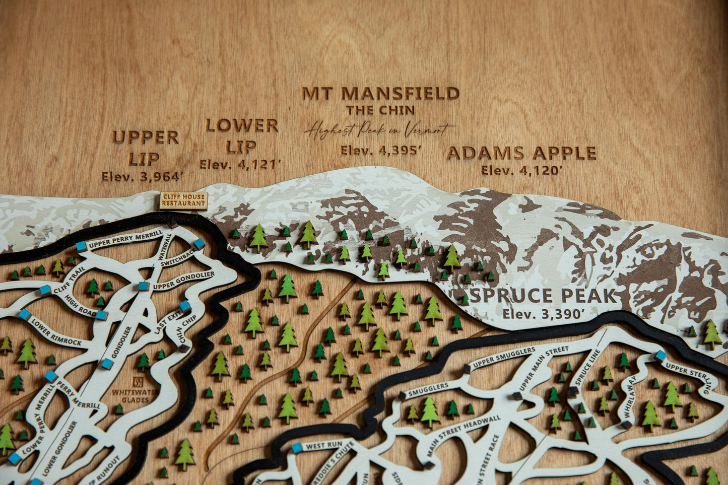 
                  
                    Stowe wooden ski map
                  
                