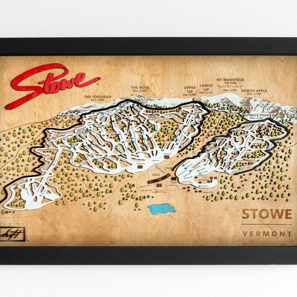 Stowe wooden ski map