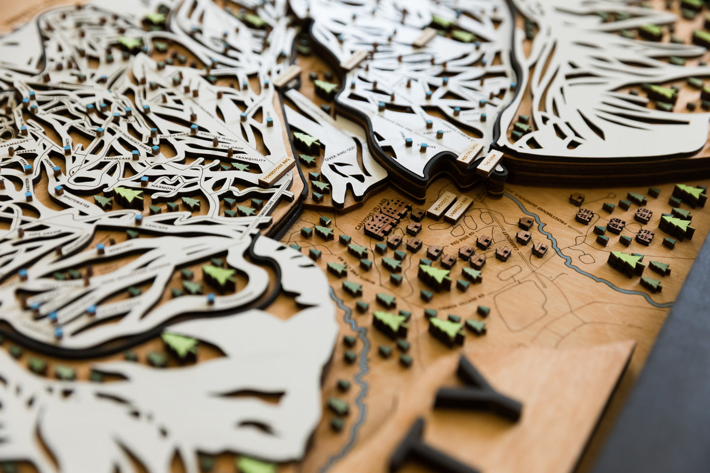 
                  
                    Park City Utah Wooden Ski Map Art Ski house
                  
                