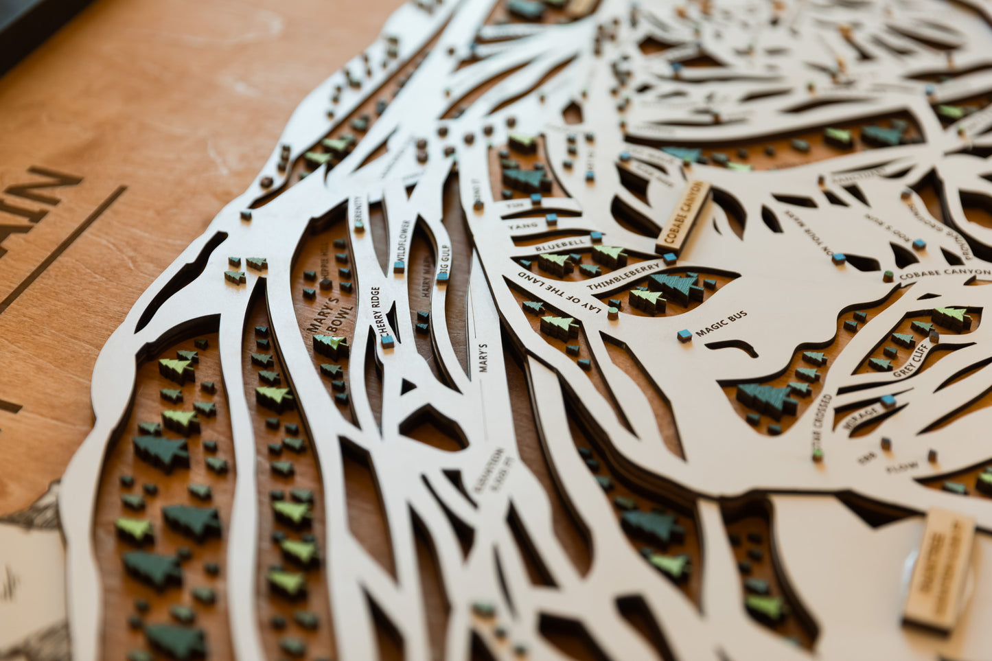 
                  
                    Powder Mountain Ski Map | Layered Wooden Ski Trail Map | Utah Mountain Art | Utah Ski Resort Decor | Ski House Wall Art
                  
                